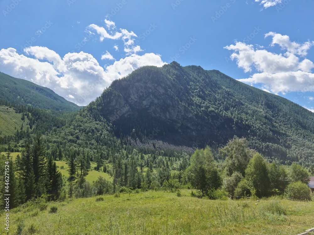 Altai nature
