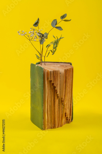 Vintage book with embedded flower branches on a yellow background