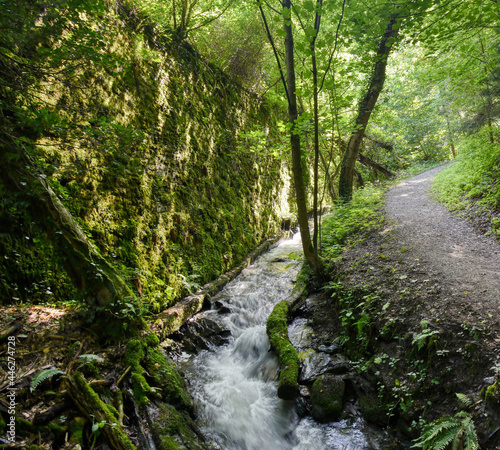 stream rushing alongside mossy wall and trail