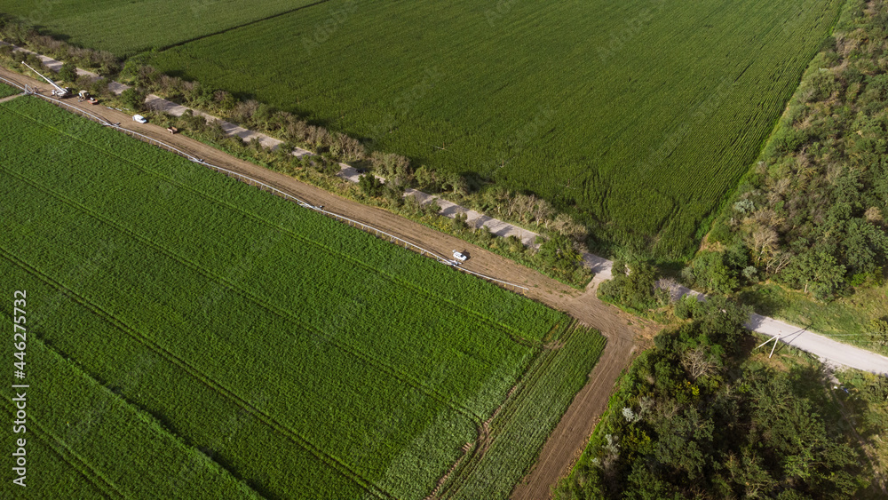 Potato field aerial view. DJI Mavic Mini 2 drone photography