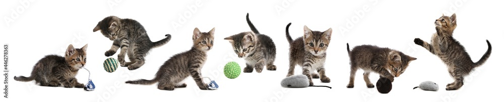Adorable kittens playing with toys on white background, collage. Lovely pet