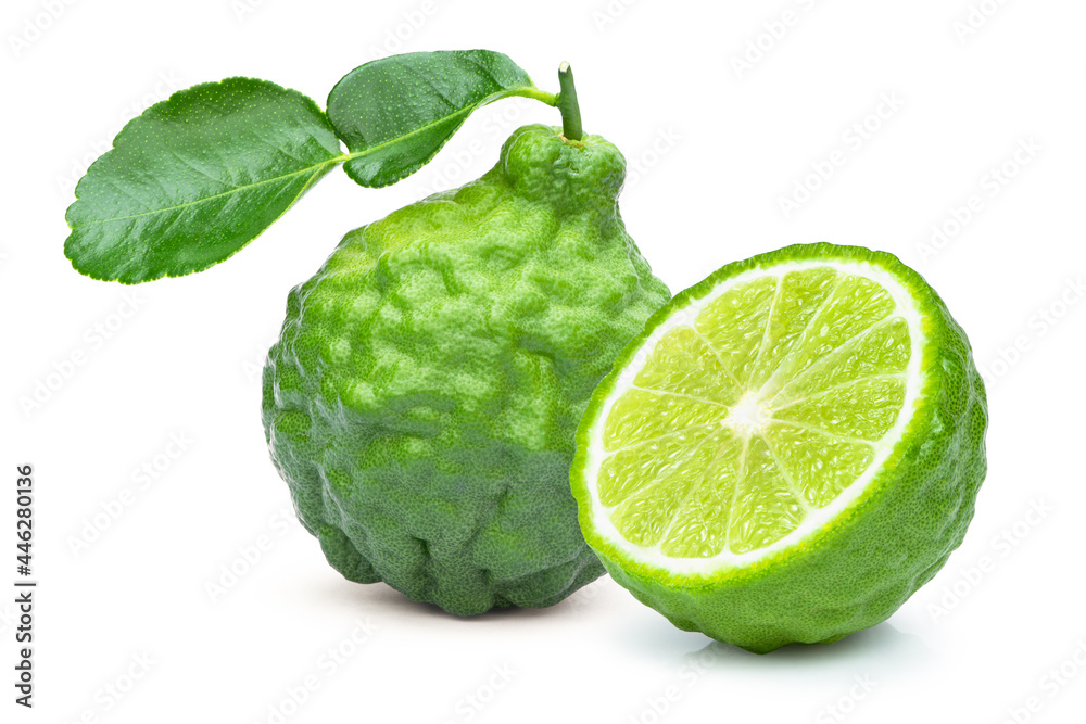 Bergamot or kaffir lime fruit with green leaf isolated on white background. Bergamot or kaffir lime fruit with green leaf isolated on white background.