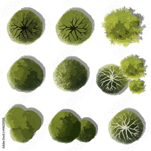 Vector of abstract watercolor tree top view isolated on white background for landscape plan and architecture layout drawing, elements for environment and garden