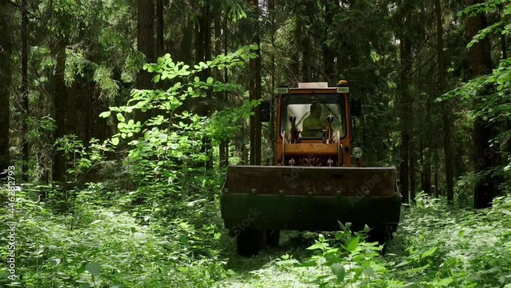 moving the bulldozer through the woods in the afternoon glare hitting the camera