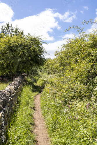 Stampa su tela Campden Lane (an ancient drovers road) now a bridleway on the Cotswold Hills nea