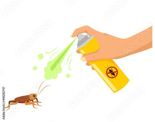 Hand spraying insecticide on dizzy cockroach isolated on white background photo