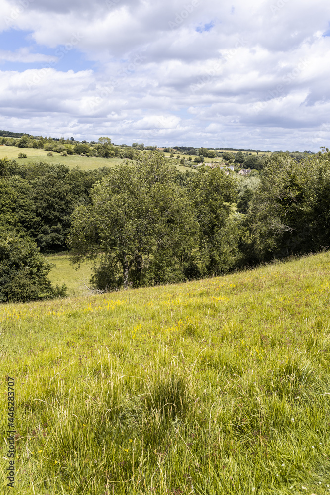 The valley of the River Windrush near the Cotswold village of Naunton, Gloucestershire UK The valley of the River Windrush near the Cotswold village of Naunton, Gloucestershire UK