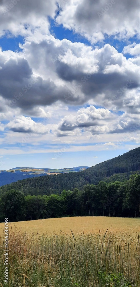 Landschaft in Niederösterreich 