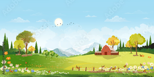 Spring landscape in village with green field, flower and butterfly meadow on hills with blue sky, Vector cartoon sunny day Summer time in countryside,grass field, wood barn and wild flowers