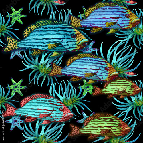 Fish  algae - watercolor. Underwater world. Seamless patterns. Use printed materials  signs  items  websites  maps  posters  flyers  packaging.