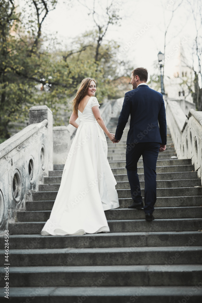 Wedding couple bride and groom holding hands Wedding couple bride and groom holding hands