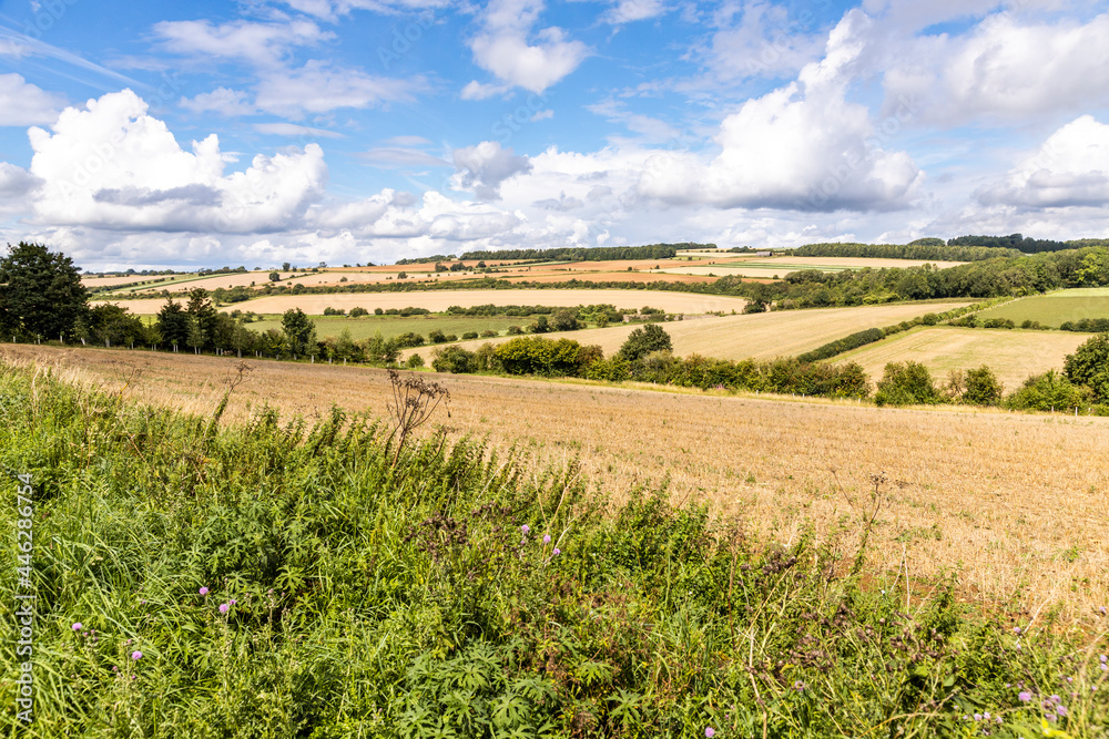 An open, rolling Cotswold landscape of harvested fields in August near the hamlet of Hampen, Gloucestershire UK