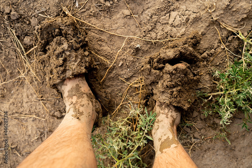 Muddy Feets 