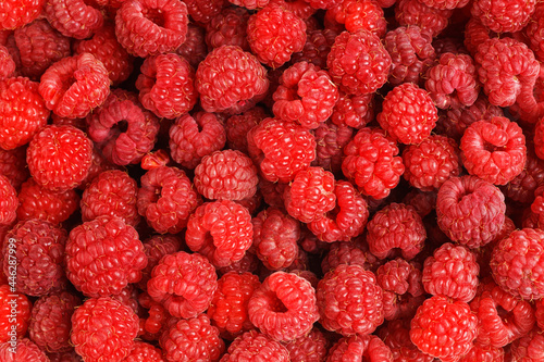 Closeup heap of fresh and ripe red raspberries. Organic food background.
