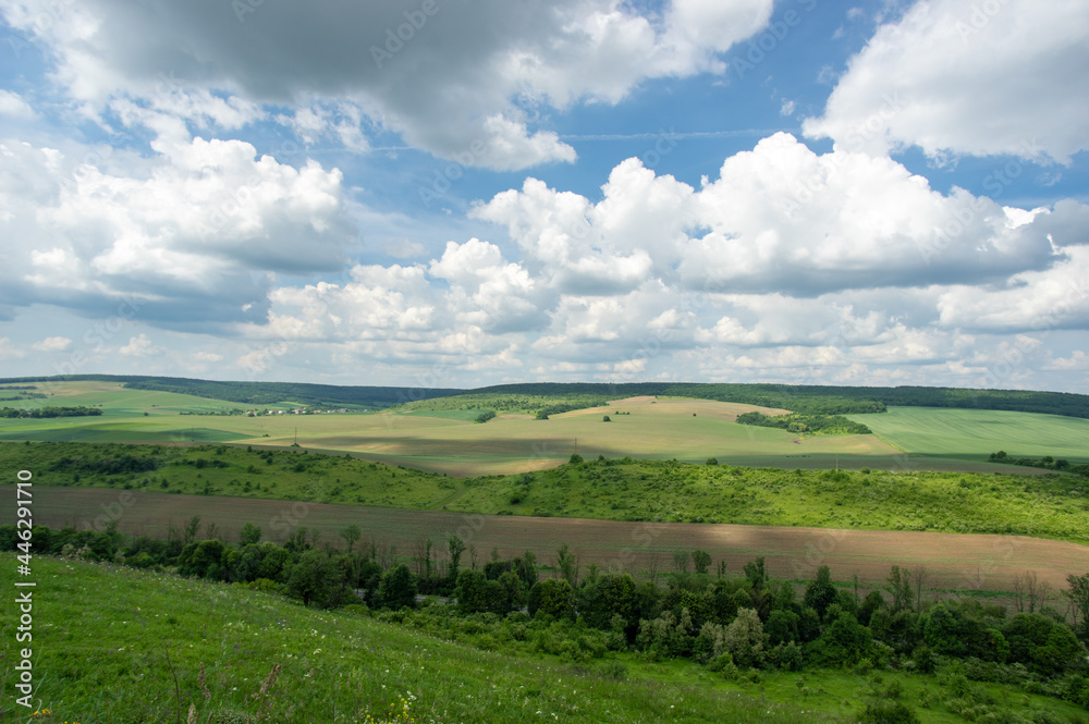 Obraz premium Summer landscape and white clouds over green fields