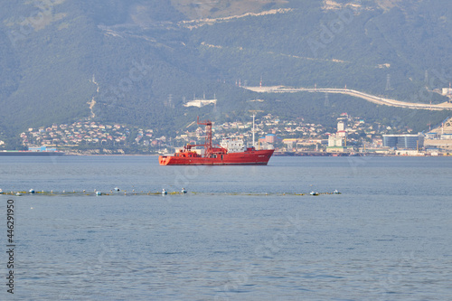 cargo ship in the port