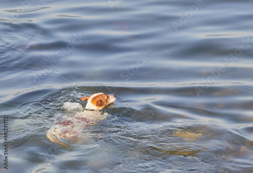 child playing in the water