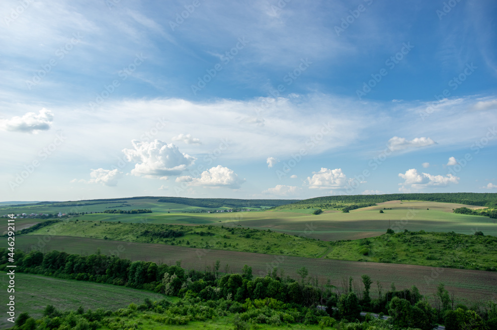 Summer landscape and white clouds over green fields