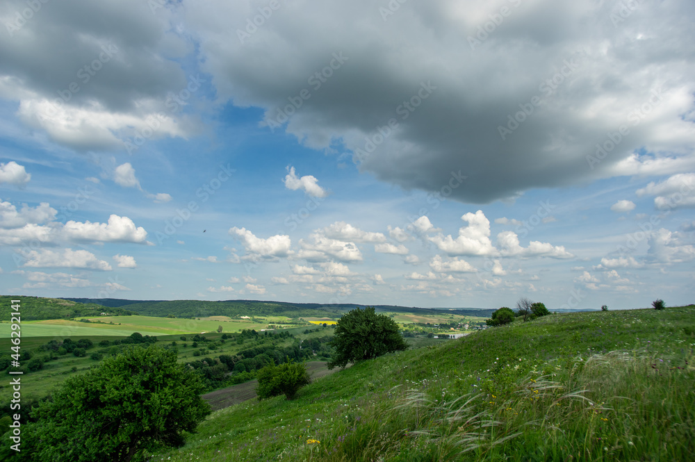 Summer landscape and white clouds over green fields