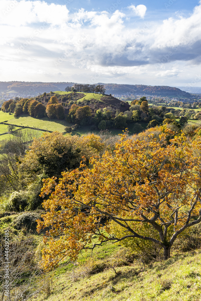 A view towards Downham Hill and Dursley from the Iron Age ramparts of Uley Bury a large multivallate hillfort on a spur of the Cotswold escarpment at Uley, Gloucestershire UK