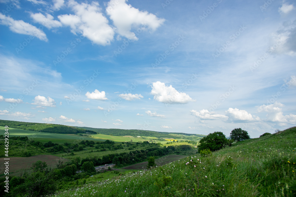 Summer landscape and white clouds over green fields