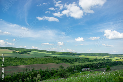 Wallpaper Mural Summer landscape and white clouds over green fields Torontodigital.ca