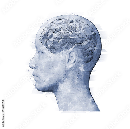 Side-view pen and marker illustration of the human brain in a female head.