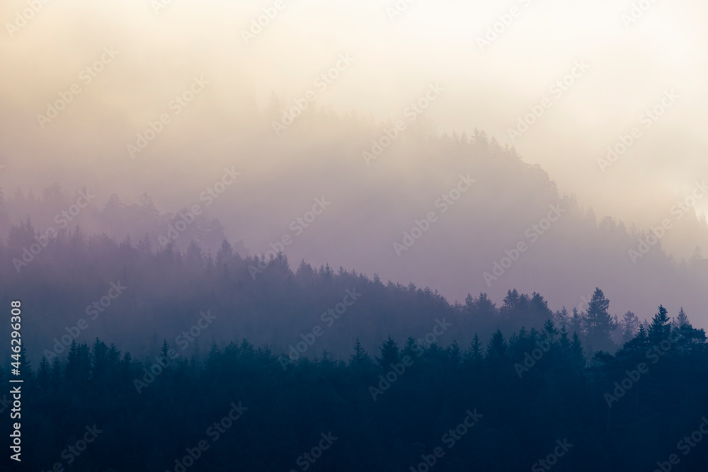 Three diffuse levels of mist pervaded by mountain forest as a background for nature themes