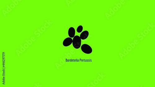 Bordetella pertussis icon animation