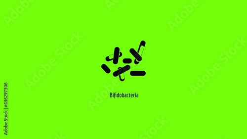 Bifidobacteria icon animation