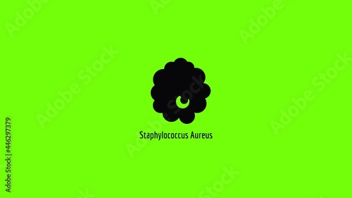 Staphylococcus aureus icon animation