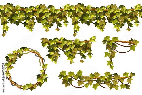 Liana branches, ivy and tropical leaves. Set of creeper jungle. Isolated cartoon vector hedera helix on white background.