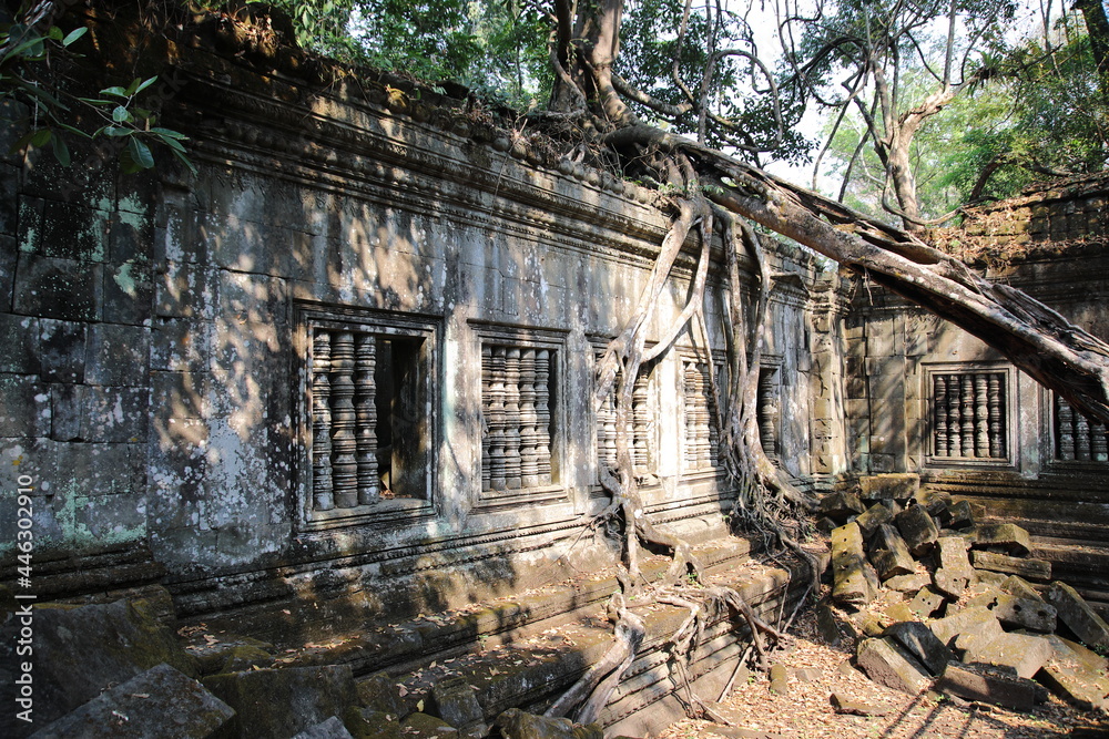 View of Beng Melea temple, Cambodia