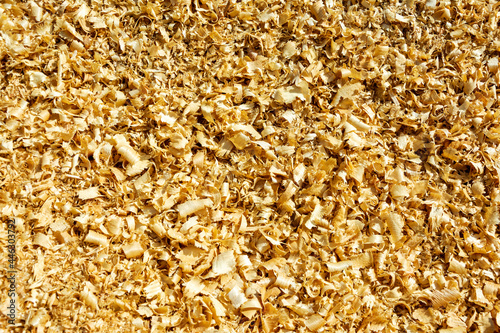 wood sawdust, carpentry waste, a lot of sawdust, combustible waste, sawdust dump, mulching, background