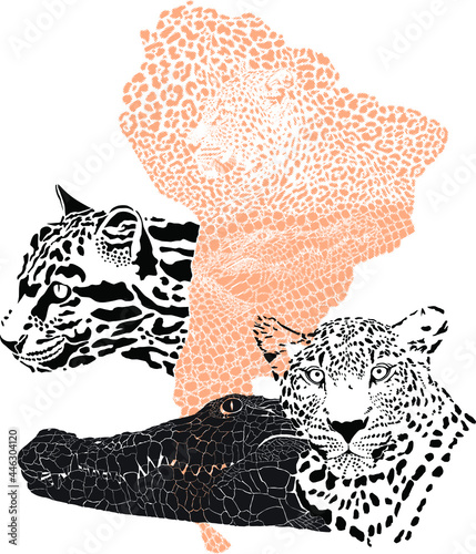Predators of South America