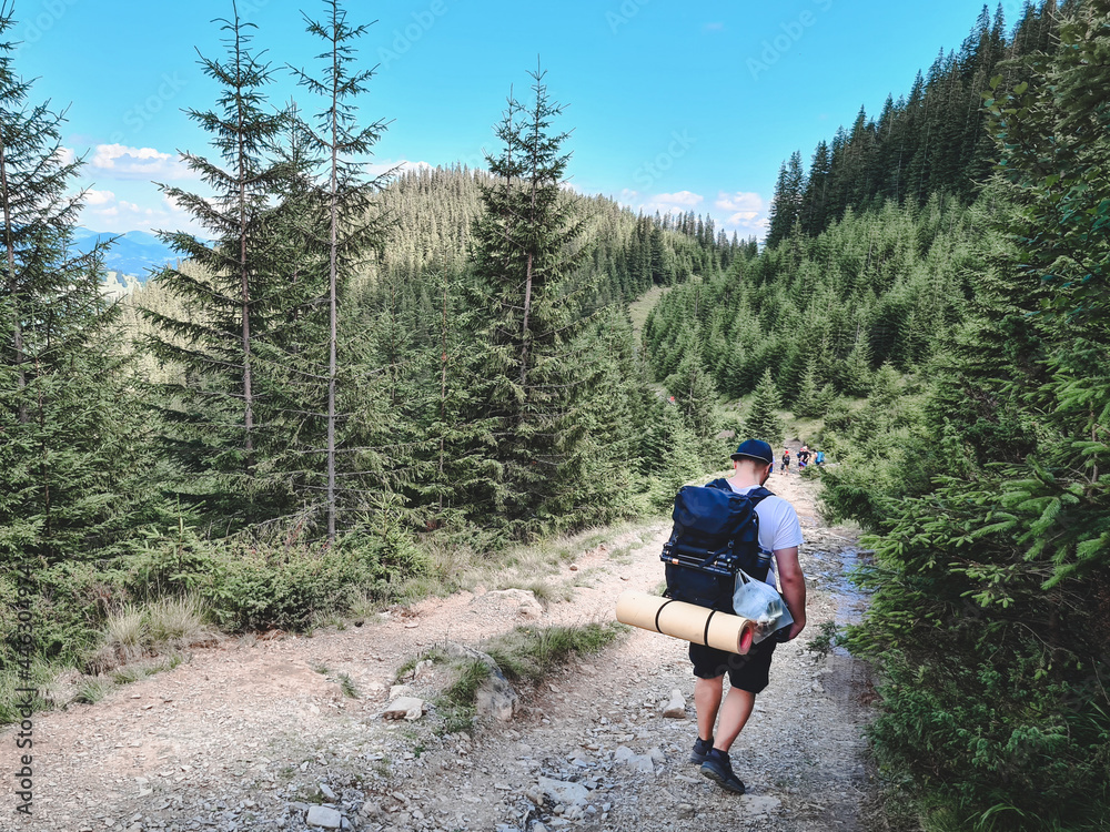 Fototapeta premium young hiker man in mountains. summer trekking path