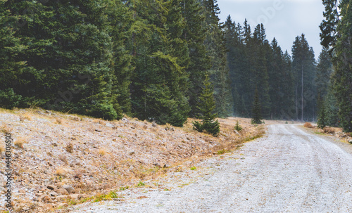 Deep timber Road