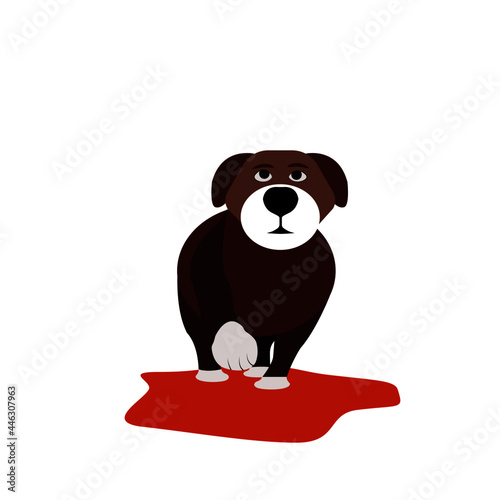perro cachorro