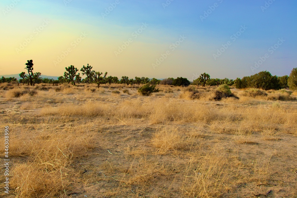 Beautiful California Desert Landscape Taken During The Evening Golden Hour