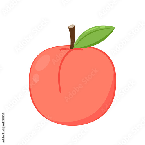 Peach vector. Peach cartoon on white background.