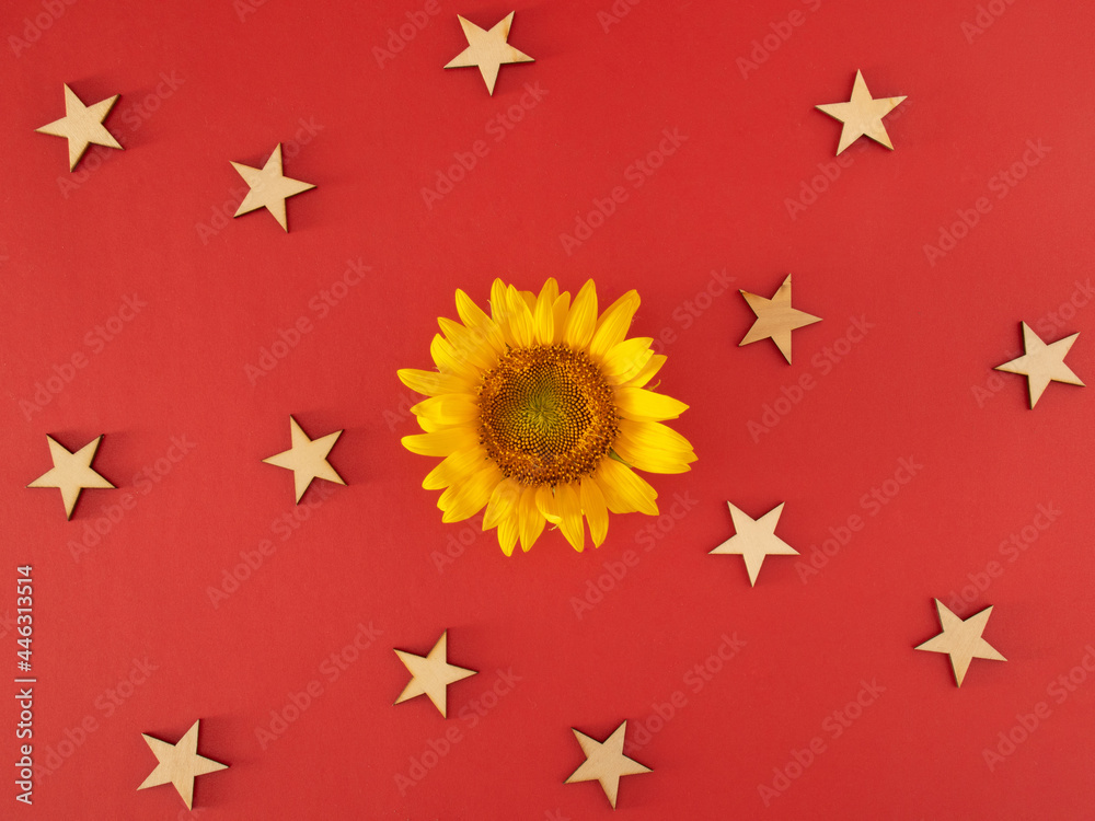 fresh yellow sunflower and cream stars on the bold red background. abstract art. virtual jungle with stars
