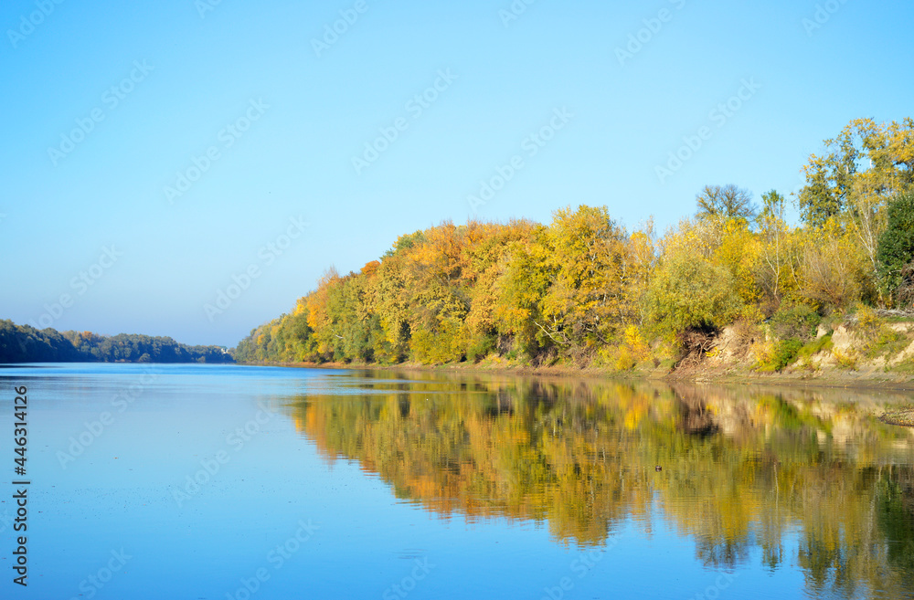 beautiful view of the river with bluish water and the forest painted with golden colors autumn, the leaves on the trees are bright yellow