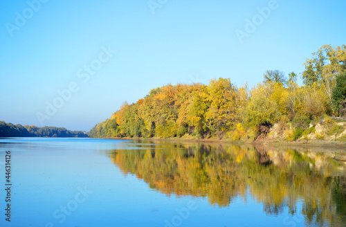 beautiful view of the river with bluish water and the forest painted with golden colors autumn  the leaves on the trees are bright yellow