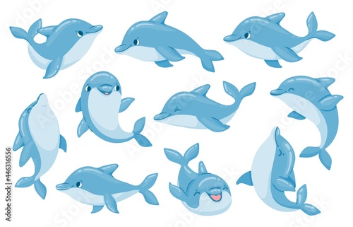 Fotobehang Dolphin characters