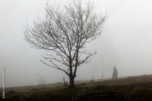 Fog at Rudge Hill, Edge Common - part of the Cotswold Commons & Beechwoods National Nature Reserve, Gloucestershire UK photo