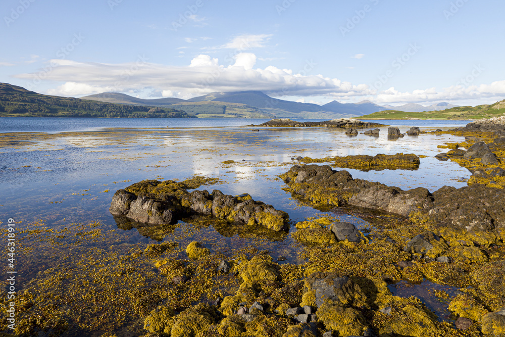 Evening light on the banks of Loch Scridain on the Isle of Mull, Inner Hebrides, Argyll and Bute, Scotland, UK