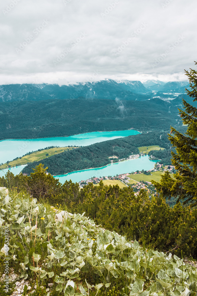 Naklejka premium Panoramic mountain view. Alpine turquoise lake, spruce forest, low clouds, and small village on peninsula in Bavaria, Germany. From the top. Foggy morning on Walchensee lake.