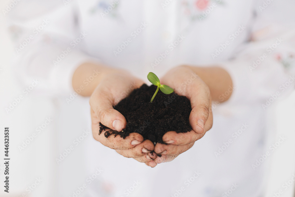 Hands holding green fresh sprout with ground. Earth day concept. Save planet. Female in floral shirt holding sprout with dirty hands, gardening and growing plants. Hands holding green fresh sprout with ground. Earth day concept. Save planet. Female in floral shirt holding sprout with dirty hands, gardening and growing plants.