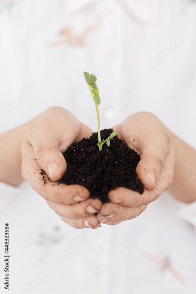 Hands holding green fresh sprout with ground. Earth day concept. Save planet. Female in floral shirt holding sprout with dirty hands, gardening and growing plants. Hands holding green fresh sprout with ground. Earth day concept. Save planet. Female in floral shirt holding sprout with dirty hands, gardening and growing plants.