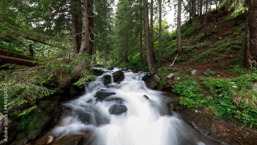 beautiful mountain waterfall with trees in the background